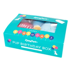 Plush Birthday Box