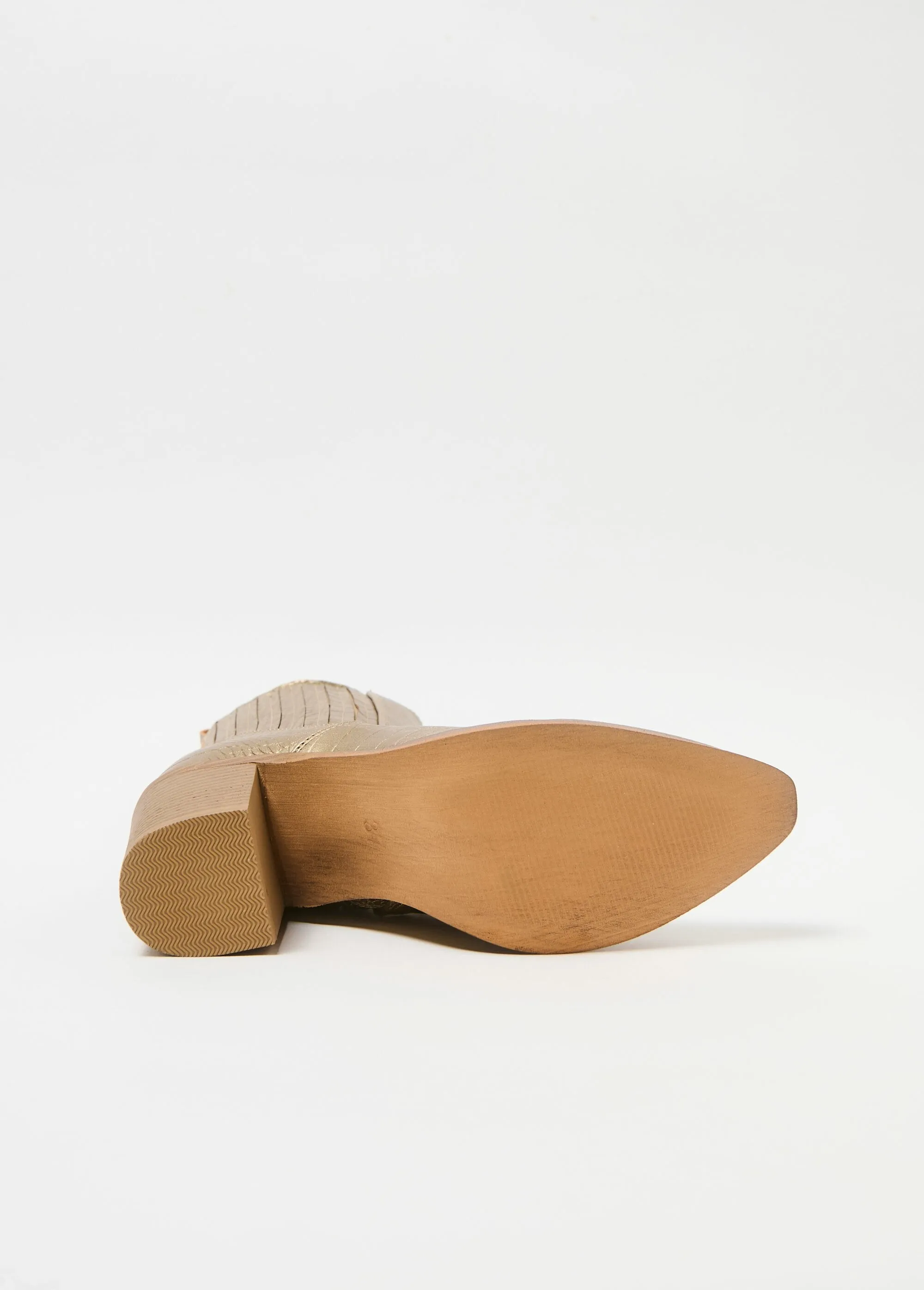 Reptile-style boots with pointed toe heels