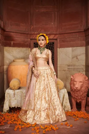 Rose Gold Lampi Gota Lehenga Set