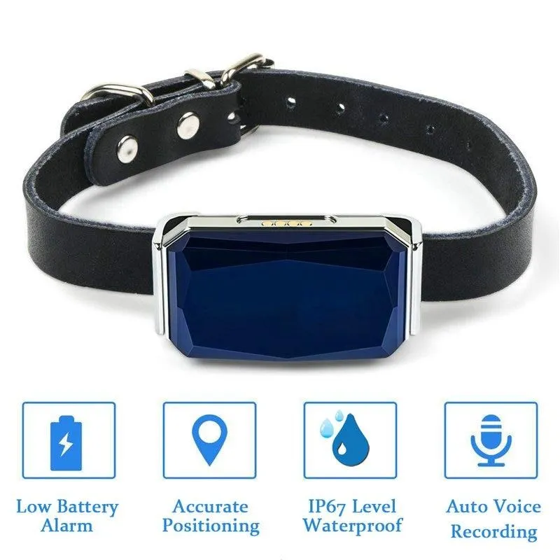 Waterproof GPS Collar For Dog