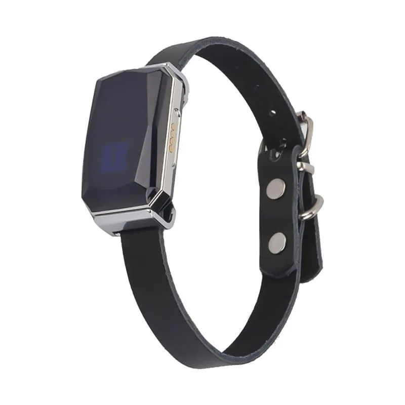 Waterproof GPS Collar For Dog